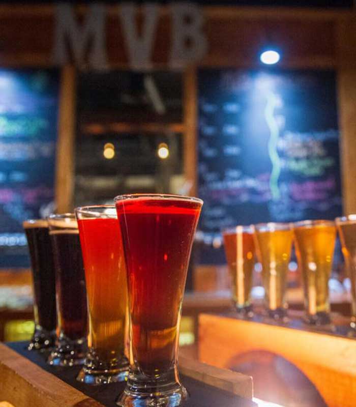 Micro brew craft beer flights brewed by Magic Valley Brewing in Idaho